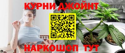 прущие грибы Вязьма