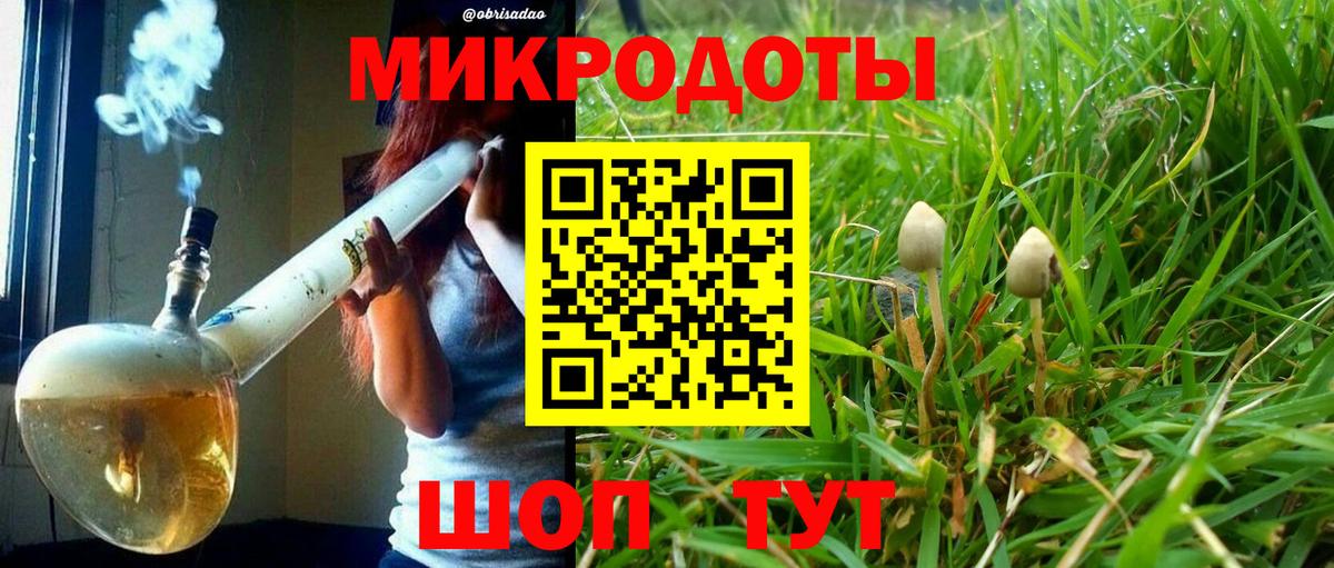 Псилоцибиновые грибы Psilocybine cubensis  Псилоцибиновые грибы мухоморы  Вход с VPN  даркнет сайт  Заводоуковск 